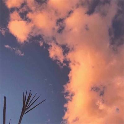 王的荣耀果盘版下载